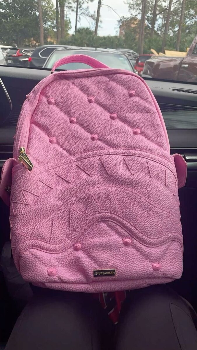 Ladies pink bag