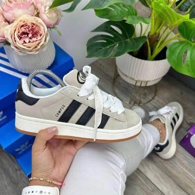 Basket Adidas Campus