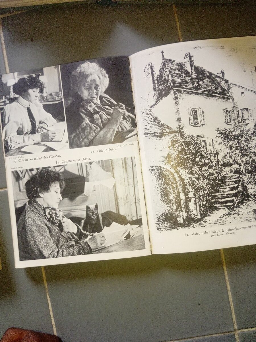 Collection Littéraire XXe Siècle