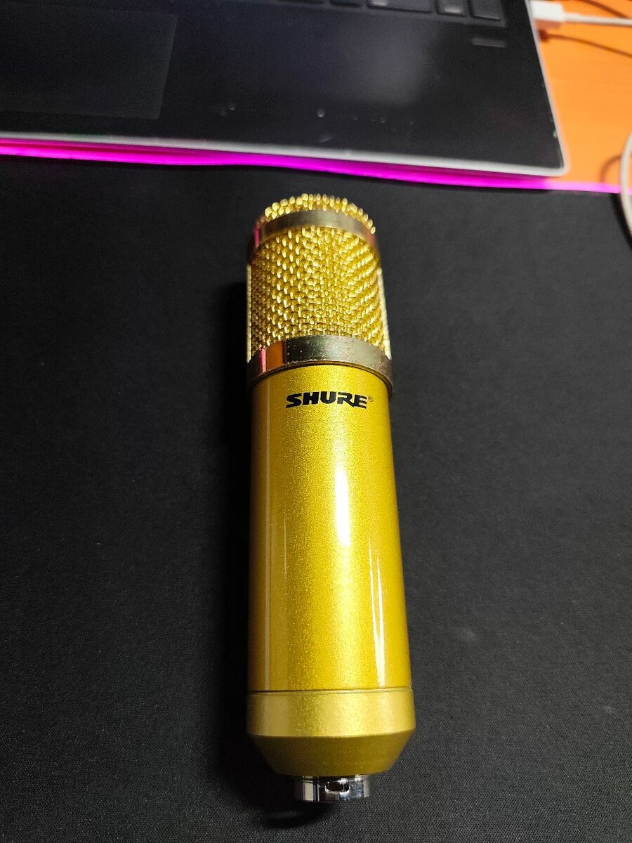 Microphone Shure Professionnel