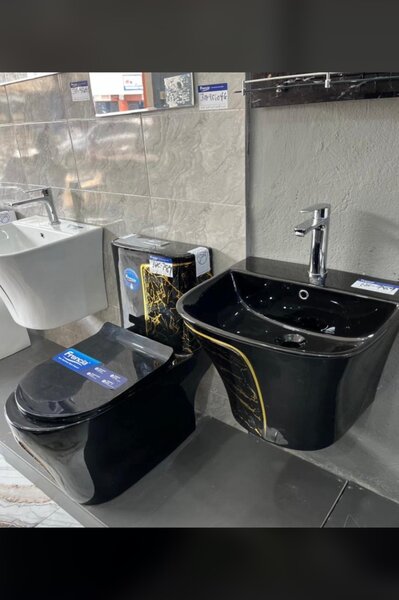 WC and basin complete