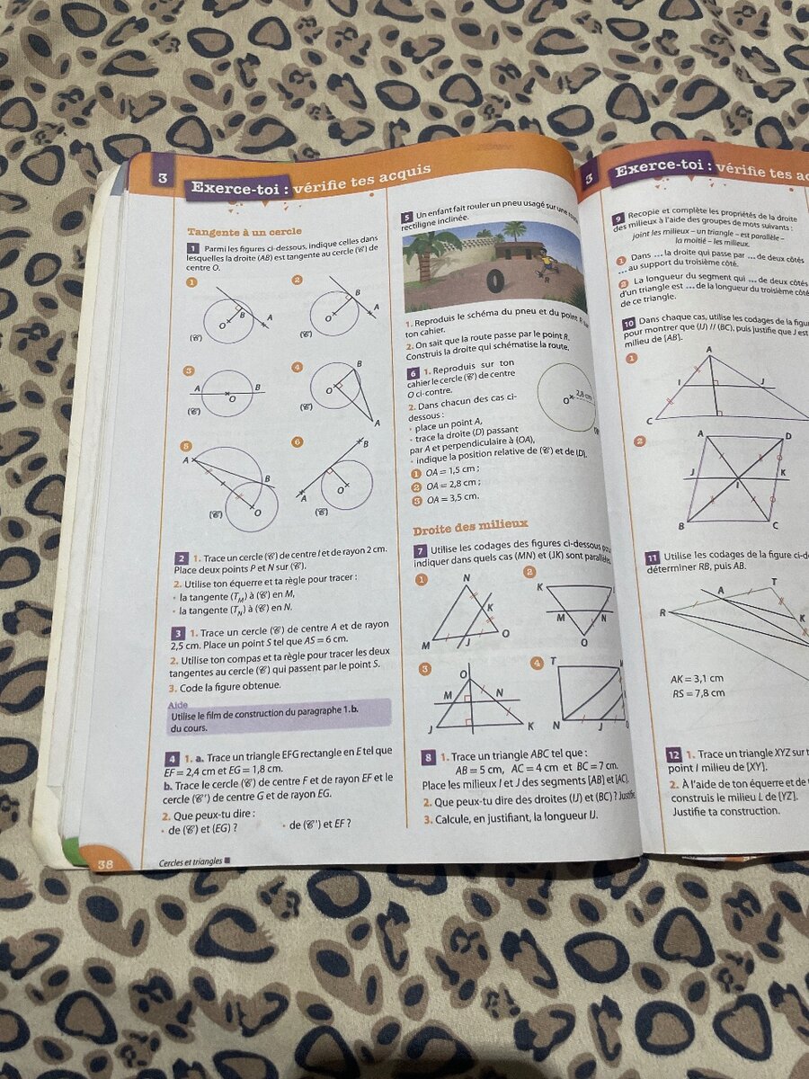 Manuel de Mathématiques 4e