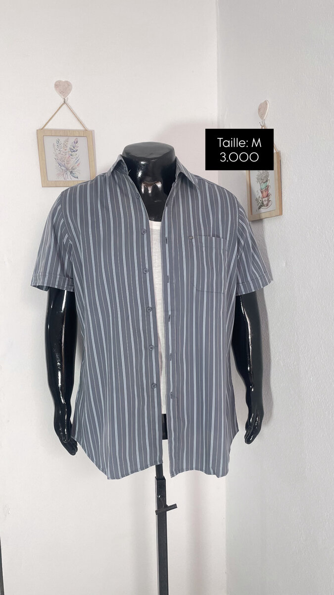 Chemise à Rayures Homme