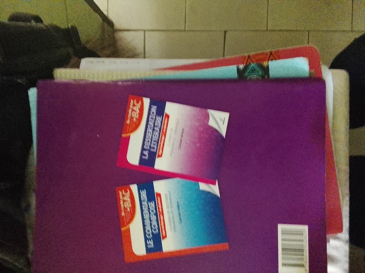 Cahier-réflexion BAC