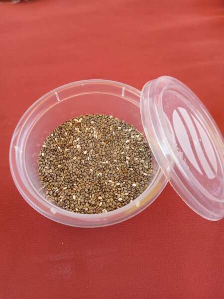 Graines de chia biologiques