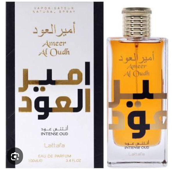 Parfum Ameer Al Oudh 100ml