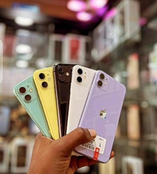 iPhone 11 Multicolore Neuf