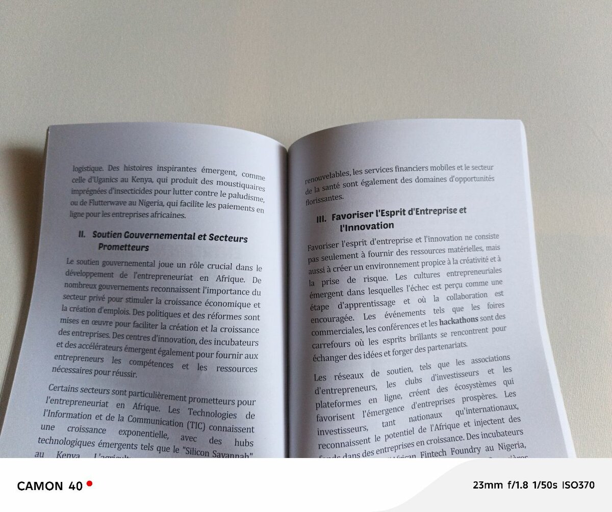 Livre: Leadership et Innovation en Afrique