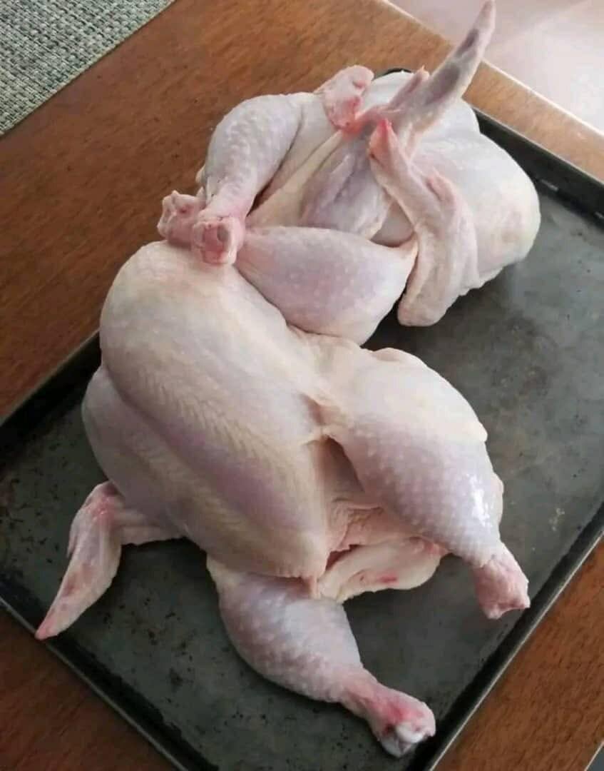 Poulet frais de qualité