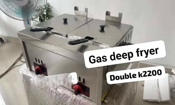 Double gas deep fryer
