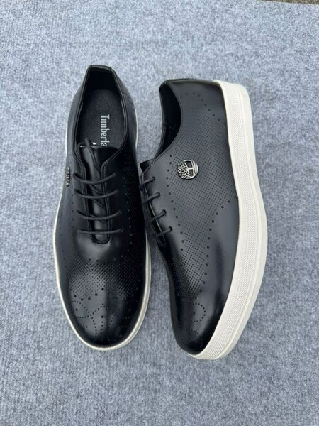 Chaussures Timberland Homme