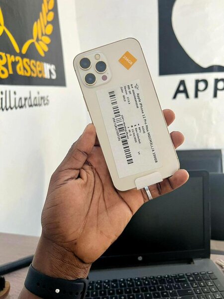 IPhone 12 pro max casi neuf 256g