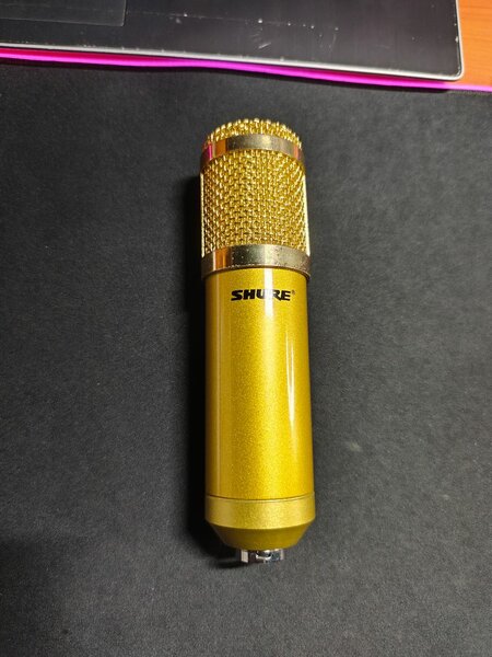 Microphone Shure Professionnel