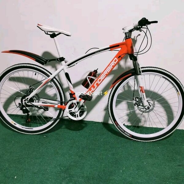 Vélo de montagne robuste