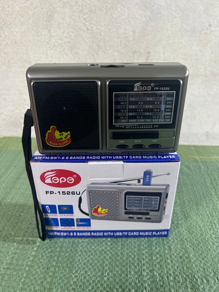 Mini Radio Rétro AM/FM USB/TF