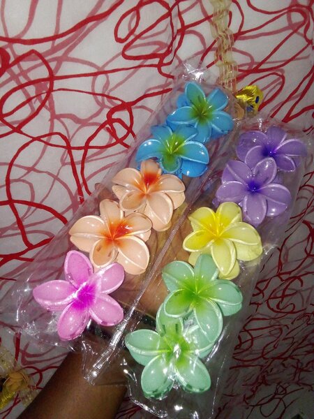 Pinces à cheveux fleurs colorées