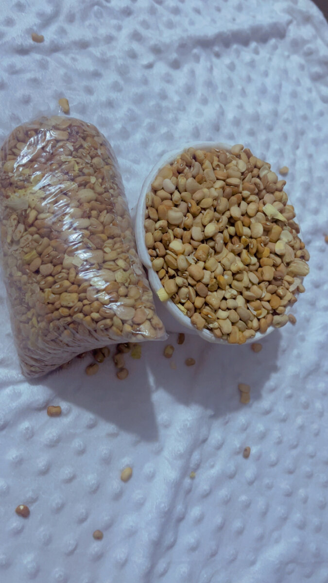 Haricots au miel prêts à cuisiner