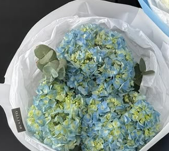 Королевские Гортензии 🤩