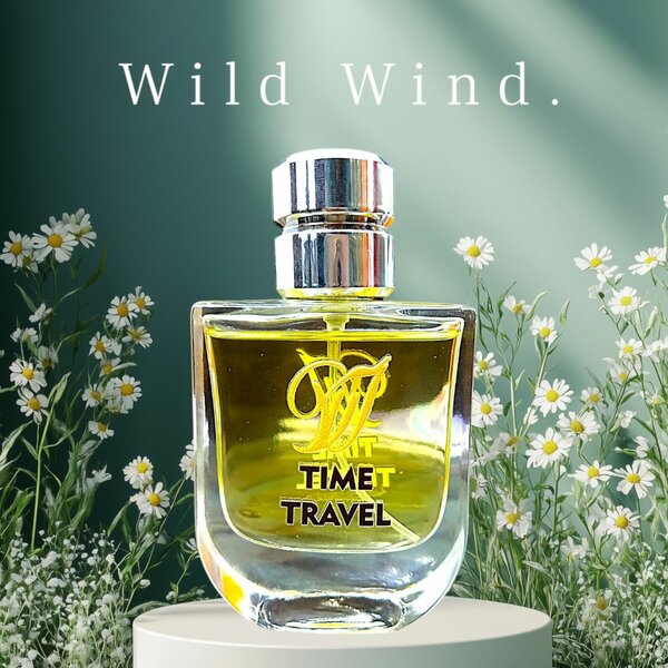 Time Traval
