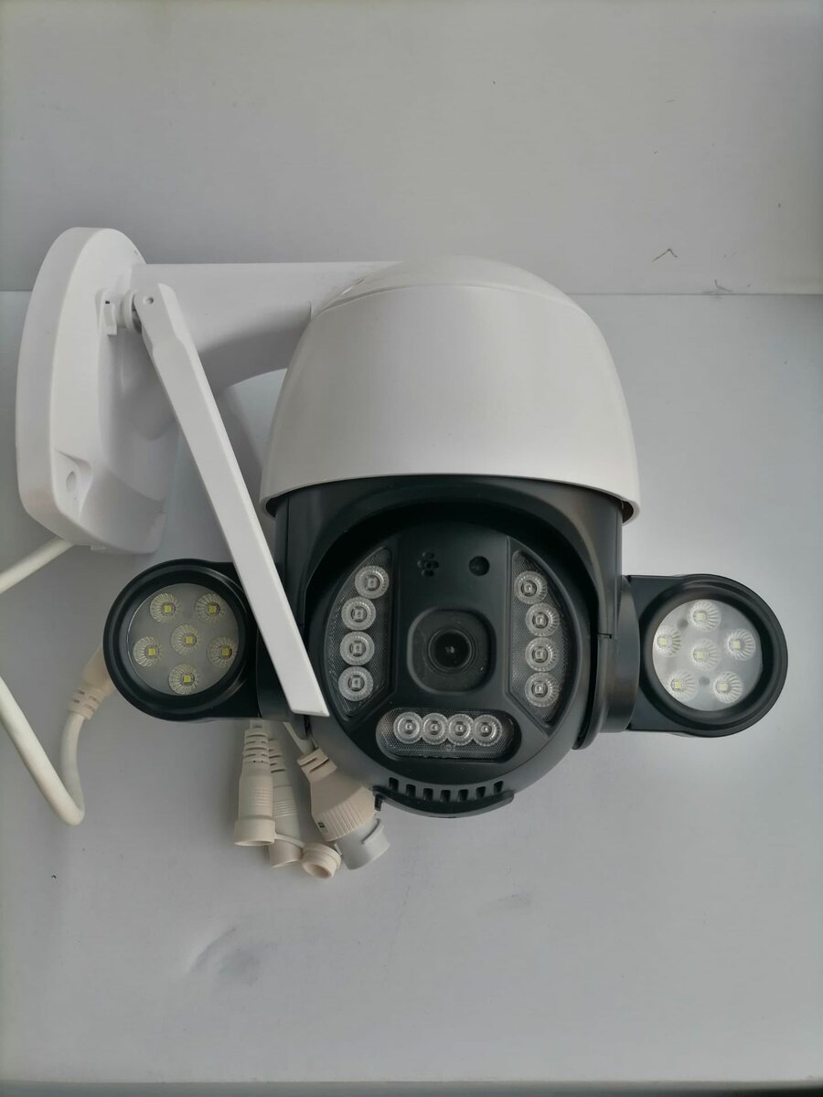 Ptz camera with Floodlight Security
