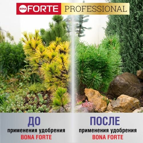 Удобрение гранулированное пролонгированное Хвойное