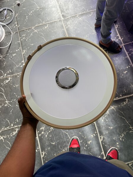 Bluetooth ceiling light