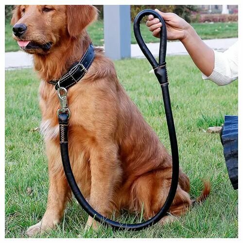 Laisse en cuir robuste