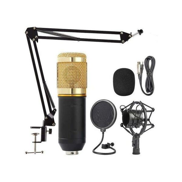 Microphone Zingyou BM-800 Bundle