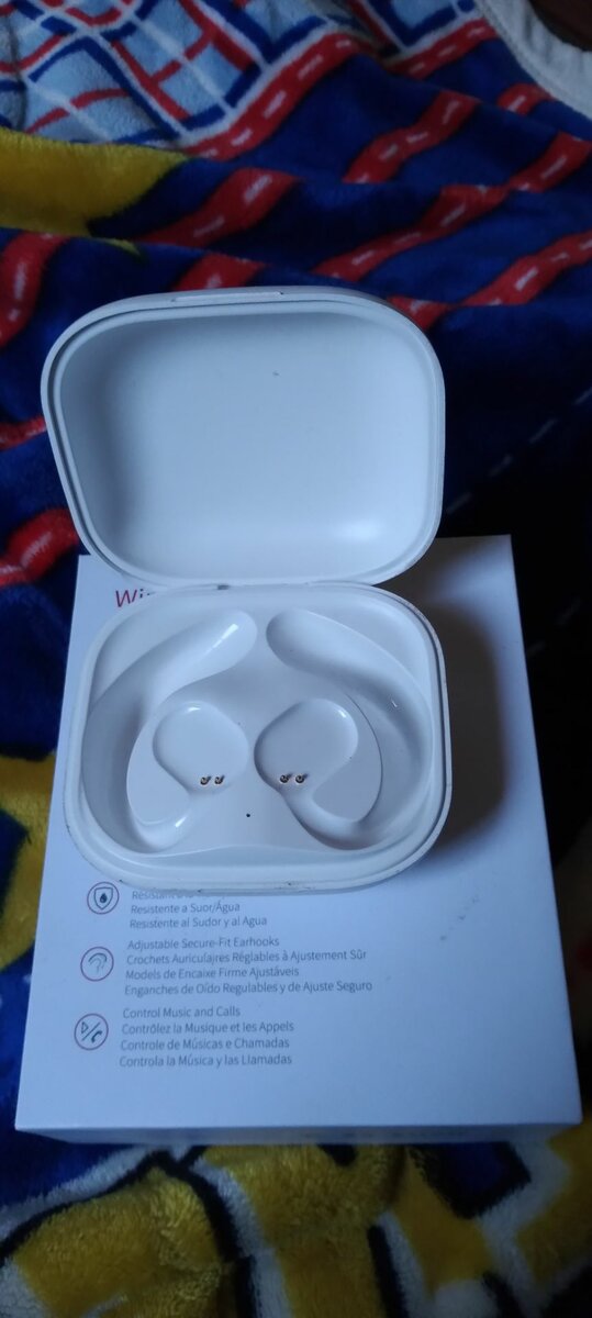 Wireless earphones