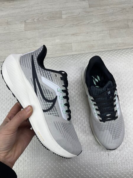 Nike pegasus39