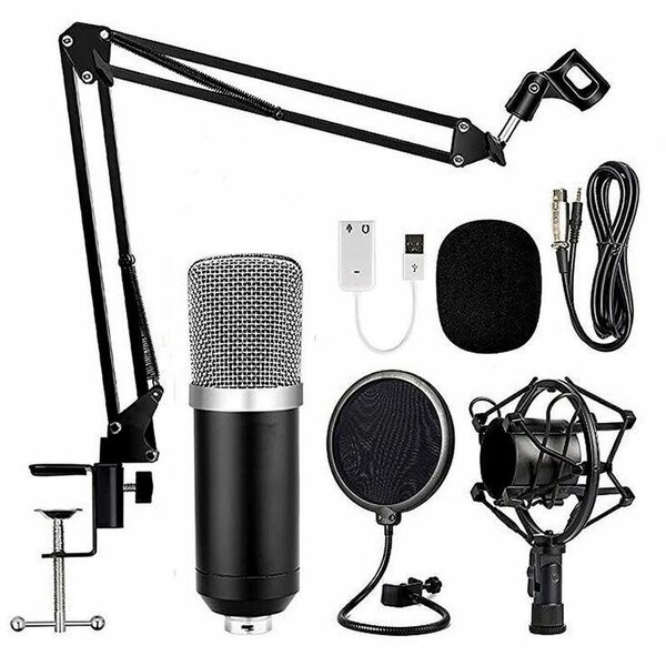 Microphone professionnel