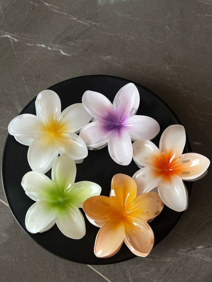Pince à cheveux Fleur Colorés