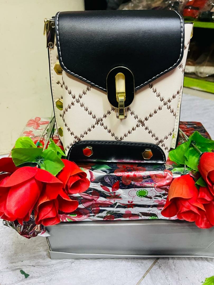 Sac à main chic bicolore