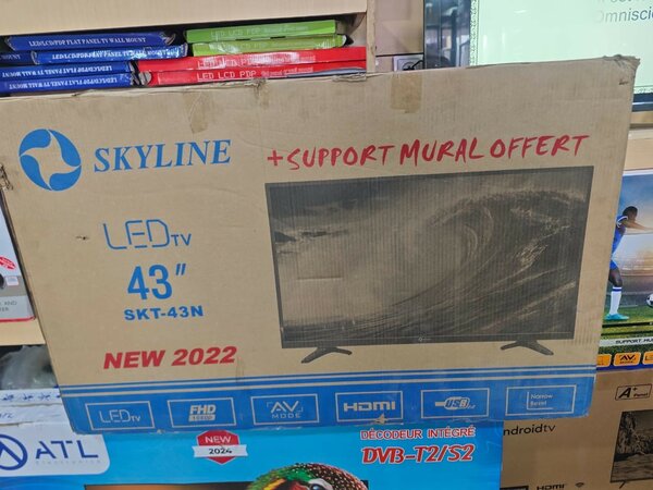 TV Skyline 43 pouces prix :