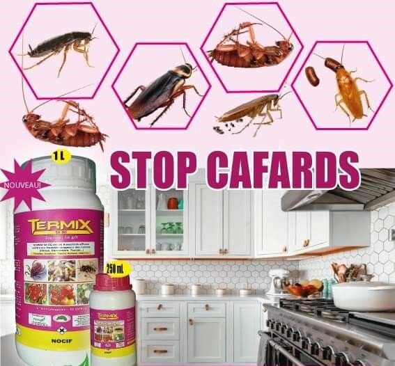 Insecticide Termix Anticafard