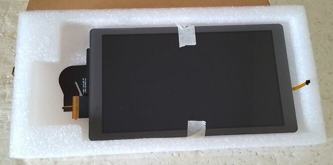 Écran Nintendo Switch lite 