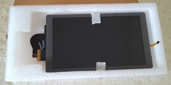 Écran Nintendo Switch lite 