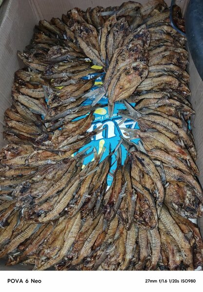 Nkolokolo and white fish