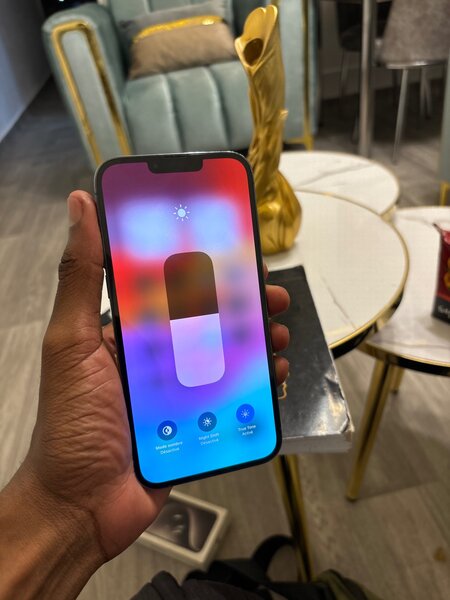 iPhone 13 Pro Max 256 Go