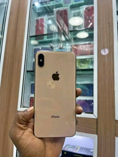 iPhone avec Batterie Optimisée