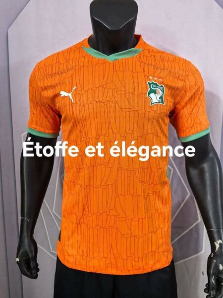 Maillot Côte d'Ivoire Puma