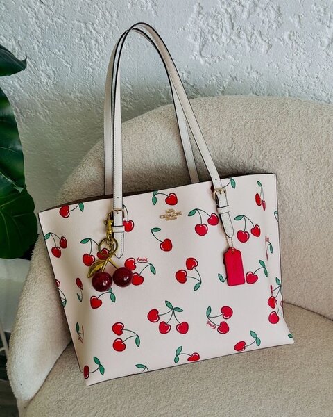 Ladies bag