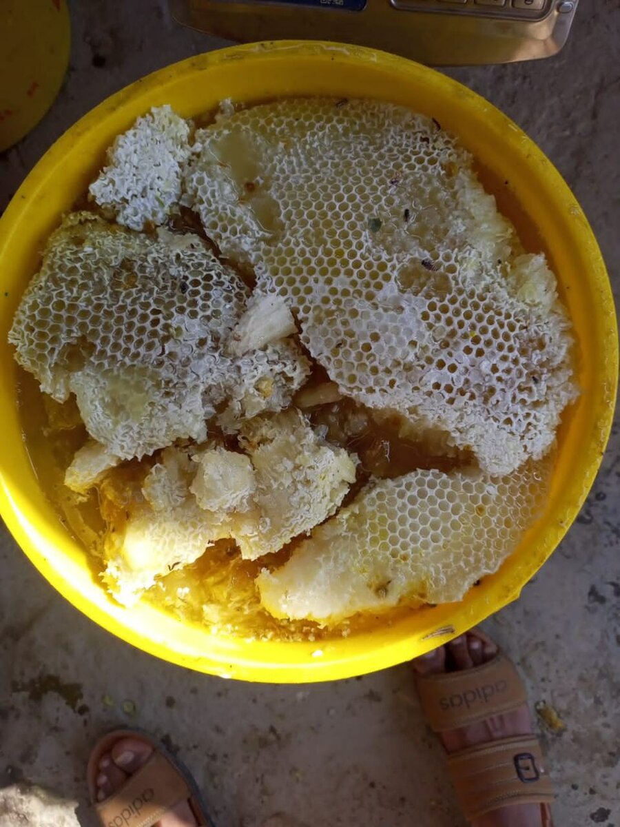 Organic Honey and dasi Ghee