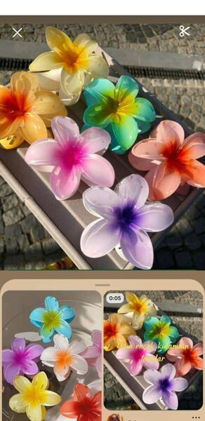 Pinces à cheveux fleurs colorées