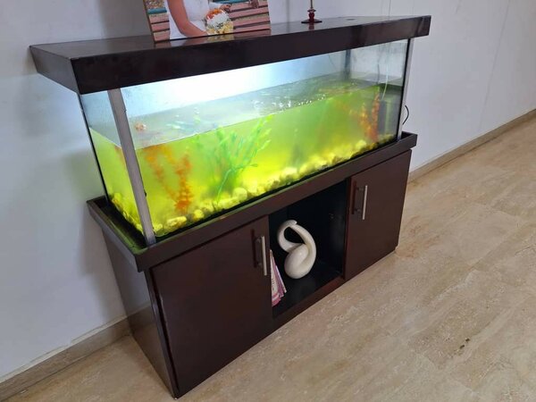 Aquarium