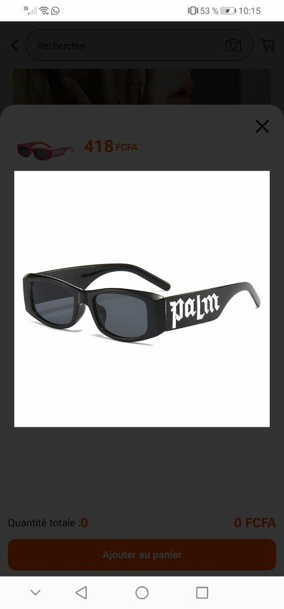 Lunettes de Soleil Modernes Palm