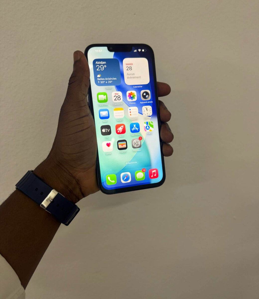 iPhone 13 Pro Max 256 Go Gris