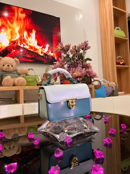 Sac à main en cuir chic