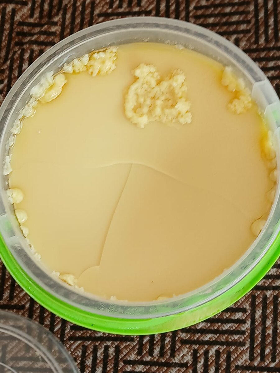 AFAMO Beurre de Cacao Brut