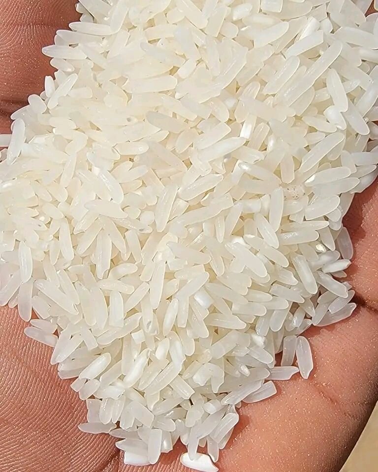 Rice